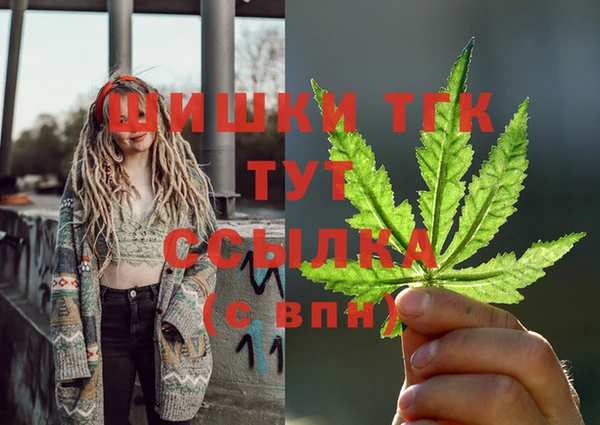 стаф Кинешма