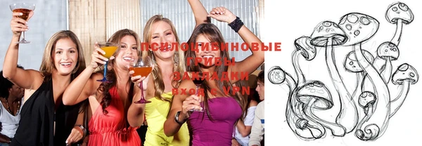 стафф Киреевск