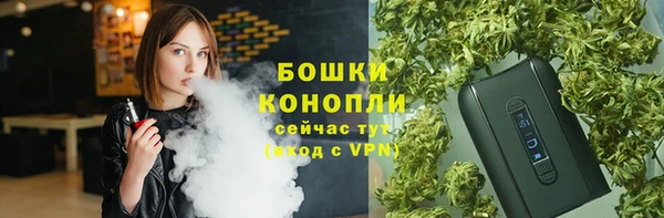 стаф Кинешма