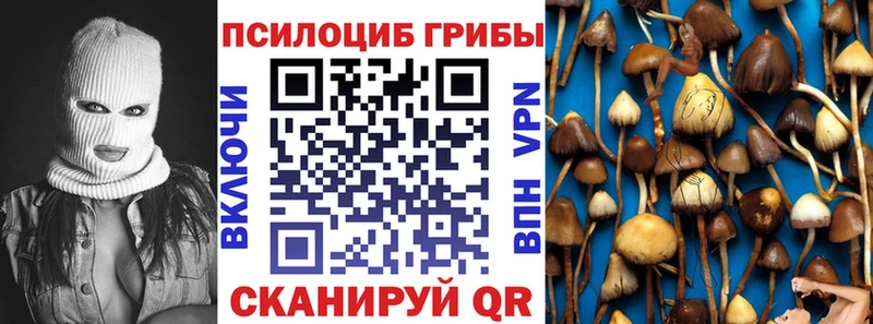 Купить  Славск  Галлюциногенные грибы Cubensis 